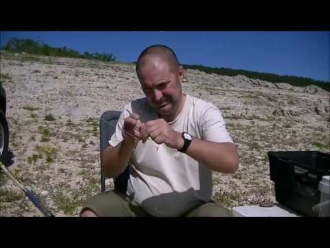 Видео: За Бяла риба на Жребчево 2017 г.