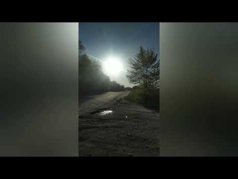 Видео: Лобода-Родной