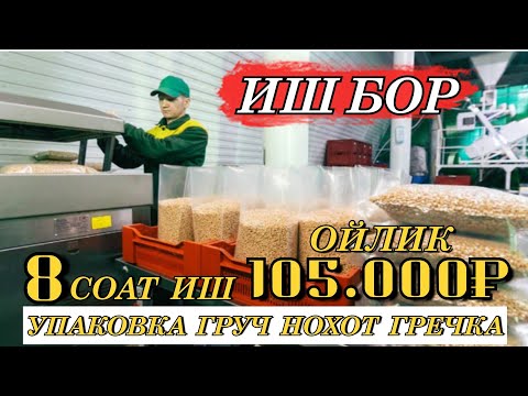 Видео: ИШ БОР 8 СОАТЛИК «105.000₽» ОЙЛИГИ ФАСОВКА ГРУЧ НОХОТ ГРЕЧКА ЁТОГ РЕГИСТРАЦИЯ БЕСПЛАТНО #мусофирлар