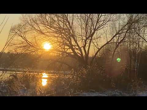 Видео: Прогулка город Фрязино/ чуть не утонул в болоте/ заброшка  старый дом 4k60fps