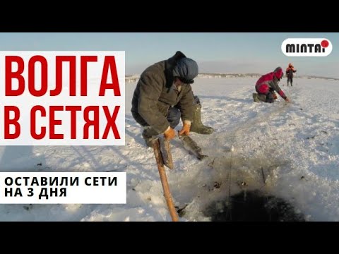 Видео: Проверяем СЕТИ на Волге!