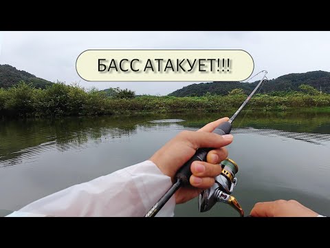 Видео: Бешеный клёв весь вечер! Рыбалка удалась!