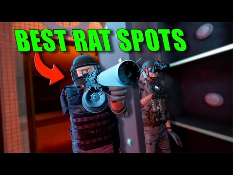 Видео: Тестируем лучшие места для крыс в Ghost of Tabor | Часть 1