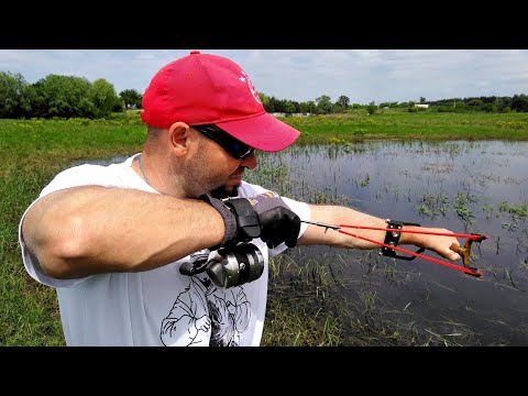 Видео: Охота на карпа и сазана с рогаткой по разливам.