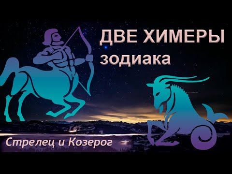 Видео: Стрелец и Козерог - две химеры зодиака.