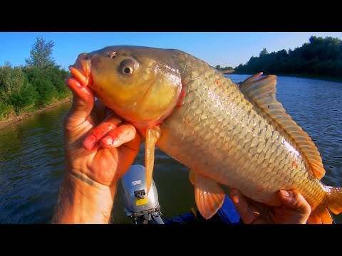 Видео: А ЧТО У НАС С САЗАНОМ ?