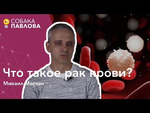 Видео: Что такое рак крови - Михаил Масчан // острый лейкоз, лейкемия, лимфомы, белокровие