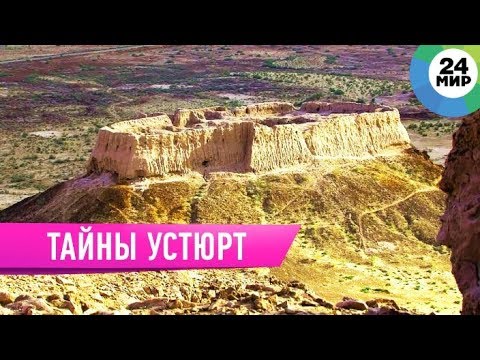 Видео: Устюрт: загадки и тайны каменного плато / Легенды степи