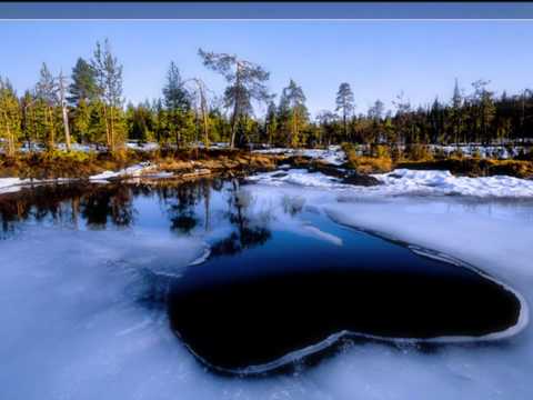 Видео: Г.Вяземский  --  я дом построил