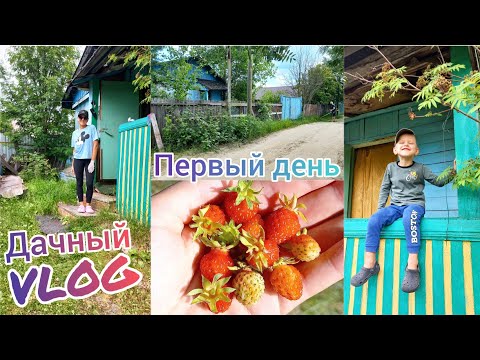 Видео: Заброшеная дача 🏡Разбираем бардак в домике🤗Пилим деревья🌳Косим траву🌱Расчичтка участка🪵День первый🤪