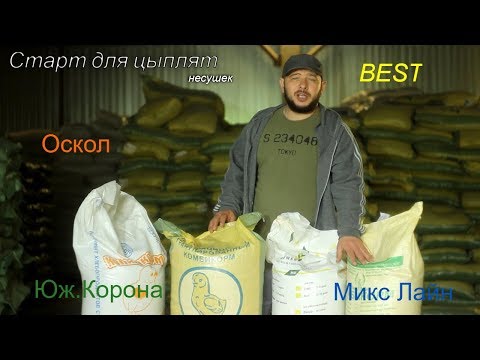 Видео: ОБЗОР НА КОМБИКОРМ ДЛЯ ЦЫПЛЯТ(BEST.ЮЖНАЯ КОРОНА.ОСКОЛ.МИКС ЛАЙН)