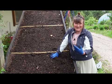 Видео: Как мы обновили нашу клюквенную крышу