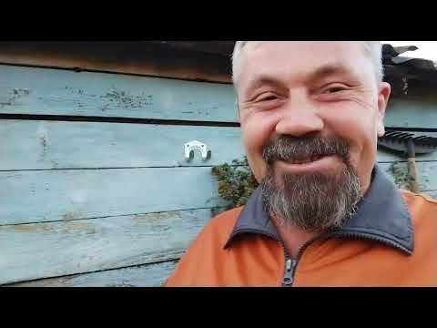 Видео: Ароматное пано в баню