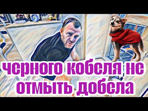 Видео: Самвел Адамян это низость.Он ни перед чем не остановится.