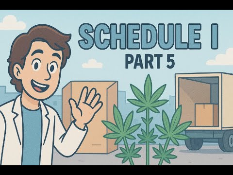 Видео: От бомжа в люди: Schedule I #5