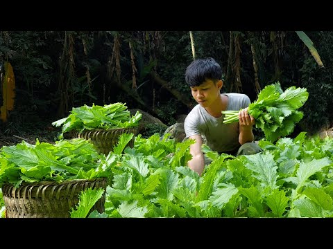 Видео: 4 месяца Садоводство, Посадка редиса, Сбор тыквы-Приготовление пищи. Скидка 1 год на Grid Cabin