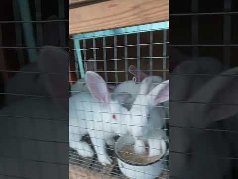 Видео: ВСЕ В ОЧЕРЕДЬ!!!