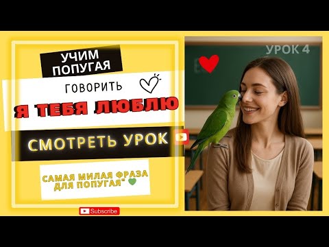Видео: Уникальные фразы, которые может запомнить ваш попугай - Как научить попугая говорить?