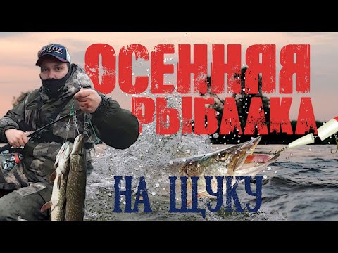 Видео: Осенняя рыбалка на щуку. Рыбалка на реке Битюг. Рыба есть!!!