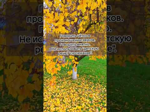 Видео: «Как говорить с ребёнком, чтобы развивать речь: 3 правила»