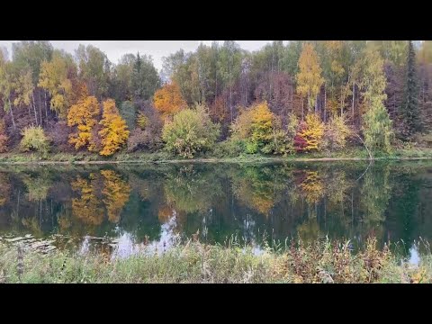 Видео: "Клуб охотников и рыболовов" выпуск 66 Река УФА