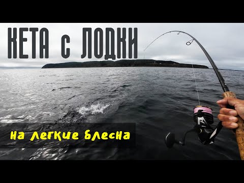 Видео: КЕТУН с ЛОДКИ | РЫБАЛКА на ЛЕГКИЕ БЛЕСНА