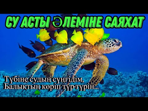 Видео: су асты әлемі