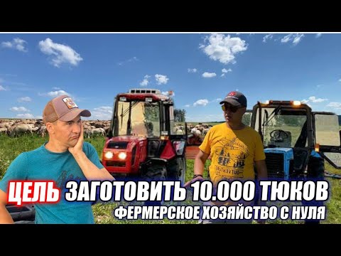 Видео: КФХ Идиятуллин/ Продолжаем заготовку сена на зиму/ Фермерское хозяйство 2022