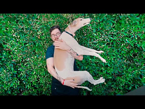 Видео: Готовлю КЕБАБ 🍆 - Джулиан Соломита (не Дженна Марблс)