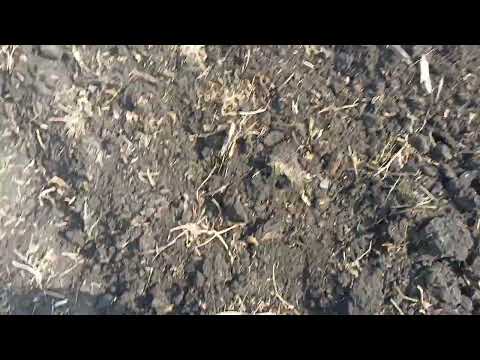 Видео: Плуг дисковий ПД-2.5 і волога