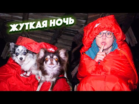 Видео: Последняя НОЧЬ В ДОМЕ НА ДЕРЕВЕ !!!