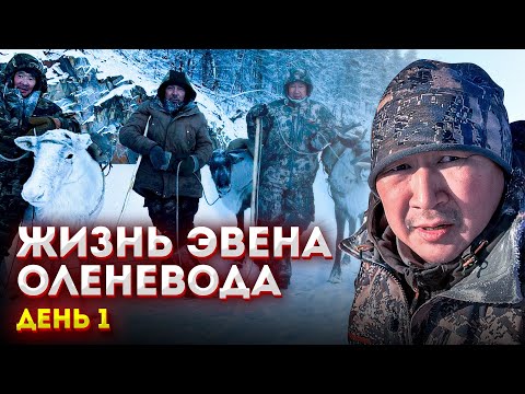 Видео: Жизнь эвена- оленевода. День 1.