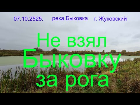 Видео: Не взял Быковку за рога. 07.10.2025. Река Быковка. г. Жуковский. озеро Пионер. г Раменское.