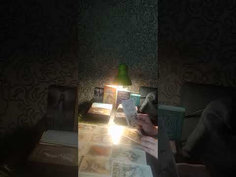 Видео: Мужчина  и Соперница 😳