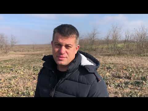 Видео: No-till на песчаных почвах