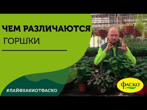 Видео: Чем различаются горшки?