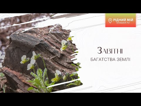 Видео: «Рідний мій Кривий Ріг». Завітні багатства землі
