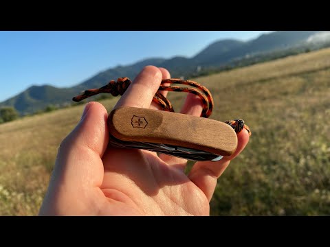 Видео: Victorinox Delemont EvoWood 17  мне понравился)