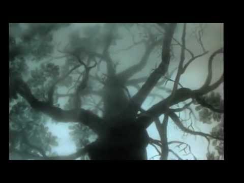 Видео: Ёжик в тумане hd720