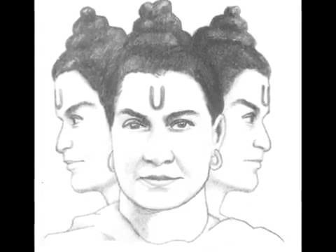 Видео: Рага Малкаунс (для Войда). Исполняет Арун Апте в присутствии Шри Матаджи.