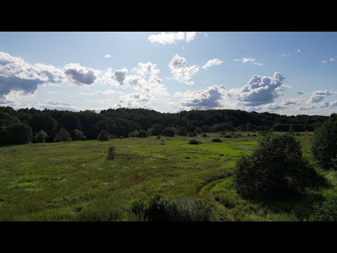 Видео: Смоленская область, Хиславичский район, д.Тереховка, д.Коханово. Река Сож. 21.07.2023.