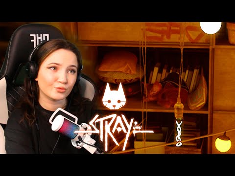 Видео: №2 Кот Жулик в трущебах с аутсайдерами | Stray прохождение