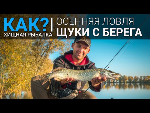 Видео: Как? Ловля щуки с берега осенью.