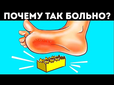Видео: 50+ случайных фактов для расширения кругозора