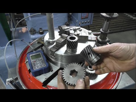 Видео: Косозуба пара