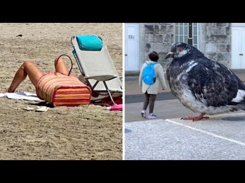 Видео: Оказалось, показалось...