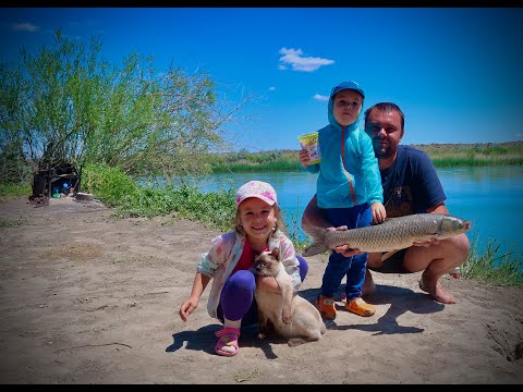 Видео: шикарна, семейная рыбалка на Амура на реке Или (июнь 2021)