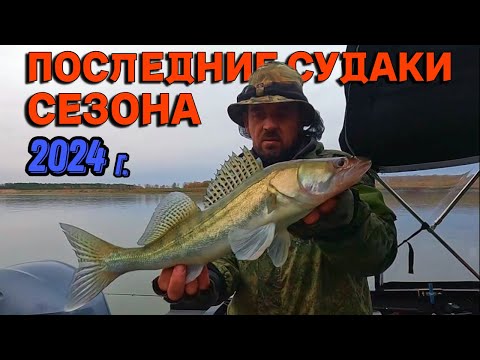 Видео: ПОСЛЕДНИЕ СУДАКИ СЕЗОНА 2024г. Рыбалка на Оби 8 октября 2024г.