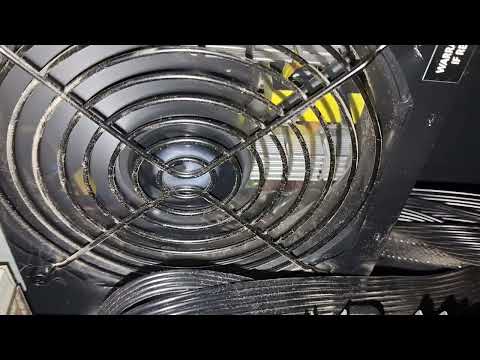 Видео: 7 ноября 2025 г.