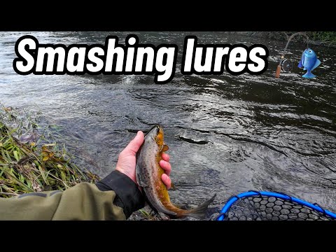 Видео: Агрессивная стримерная приманка для ловли ручьевой форели.#рыбалка #нахлыст #советыпорыбалке #рыба..